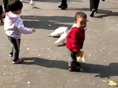 -绵阳人民公园(涪城区)