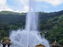-西双版纳原始森林公园