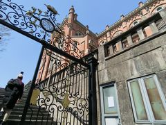 -上海佘山国家森林公园西佘山园