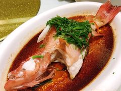 清蒸小东星-潮府馆·非遗潮州菜·港式点心(世纪公园店)