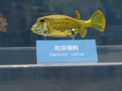 -国家自然博物馆