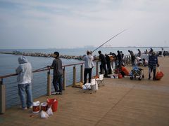 -东疆建设开发纪念公园
