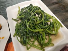 -古田会·肥肠鸡(古田店)