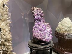 -湖南省地质博物馆