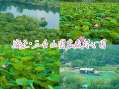 -江苏三台山国家森林公园