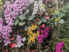 -国家植物园南园