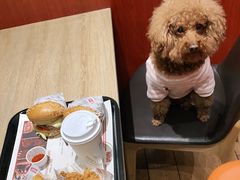 -The Habit Burger Grill 哈比特汉堡(爱琴海店)