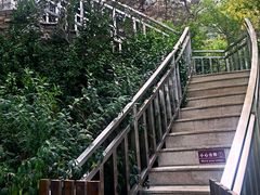 -徂徕山森林康养度假谷温泉