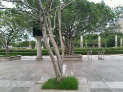 android_upload_pic-白鹭洲公园