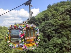 -秦岭天竺山生态文化旅游景区