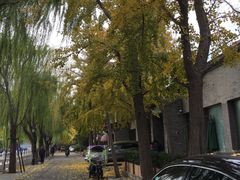 -后海公园