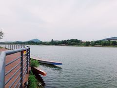 -羊山湖公园