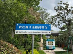 -青岛鑫江温德姆酒店