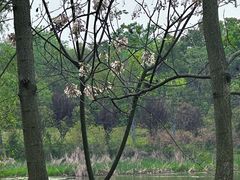 -东湖落雁景区