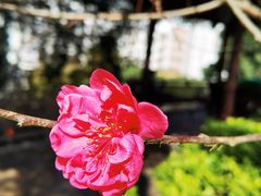 -乌山风景区