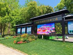 -合肥滨湖国家森林公园