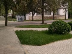 -曲阜师范大学(曲阜校区)