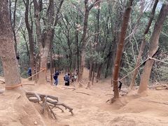 -灵岩山风景区