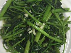 空心菜-煲来饱去冷水鱼