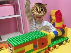 -贝乐乐高机器人教育(南环汇邻广场校区)