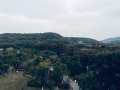 -太湖饭店玉兰厅(自助餐厅)