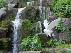 -陶祖圣境风景区