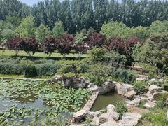 -静之湖度假区