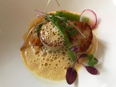 香煎扇贝-蝶舍·MAISON PAPILLON