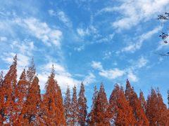 -蜀绣公园