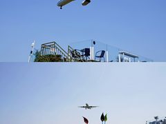 -空港花田景区