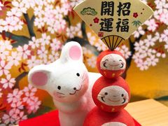 -白箱照相馆·外拍
