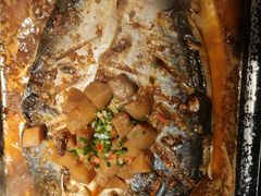 湄公鱼-焰鱼(昌建广场店)