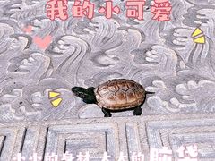 -赵州桥景区