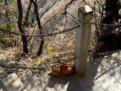 -终南山南五台景区