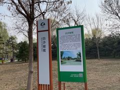 -东郊湿地公园