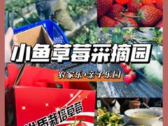 -小鱼草莓采摘园农家乐·小鱼餐厅