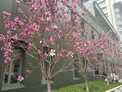 -北京协和医院-护士楼对外餐厅(王府井步行街店)