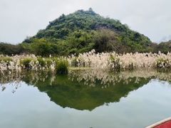 -会仙湿地
