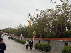 -广州莲花山旅游区