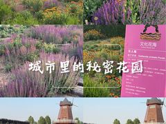 -君乐宝优致牧场