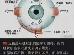 -宝视达眼镜(美中城店)