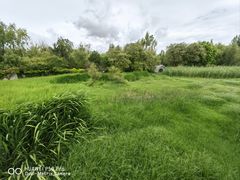 -洱海月湿地公园