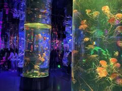 -海合安青岛极地海洋公园
