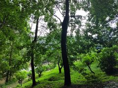 -广州市石门国家森林公园