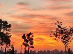 -东港音乐喷泉广场