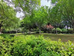 -杭州城北体育公园