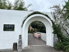 -白鹭湾湿地公园