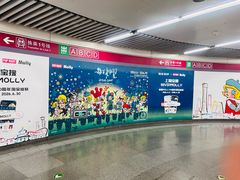 -大望路(地铁站)