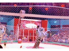 -西安秦岭野生动物园