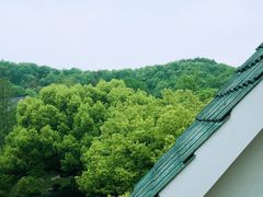 -杭州花家山庄